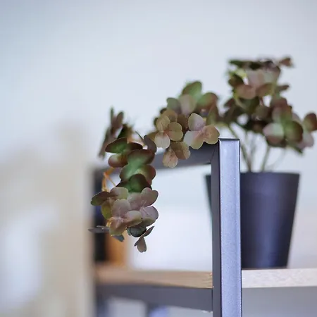 公寓 Stilvoll Wohnen Im Ruhigen Hinterhaus - Salt Weißenfels