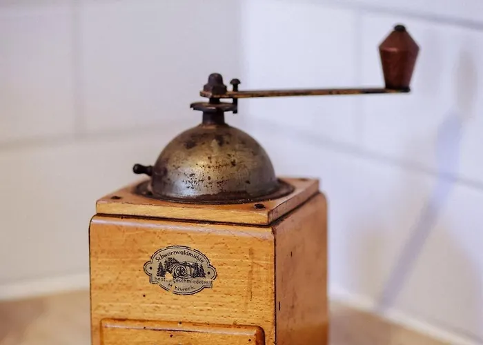 Lägenhet Stilvoll Wohnen Im Ruhigen Hinterhaus - Salt