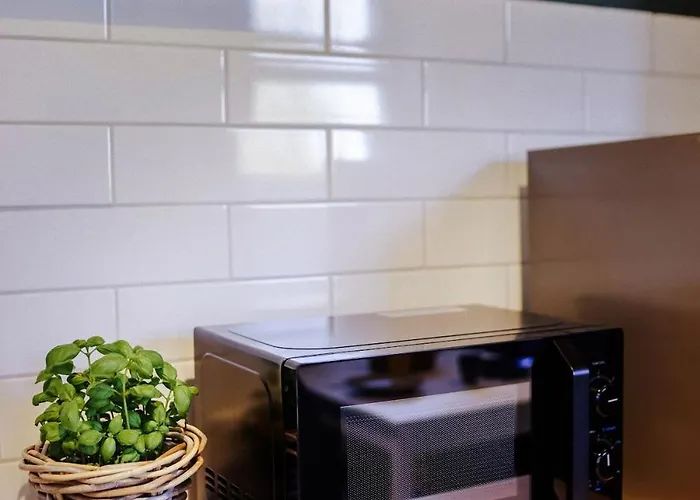 公寓 Stilvoll Wohnen Im Ruhigen Hinterhaus - Salt Weißenfels