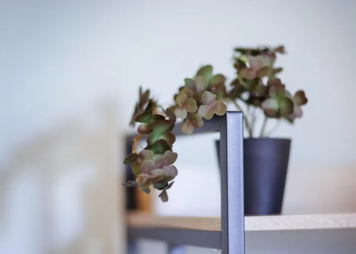 公寓 Stilvoll Wohnen Im Ruhigen Hinterhaus - Salt Weißenfels